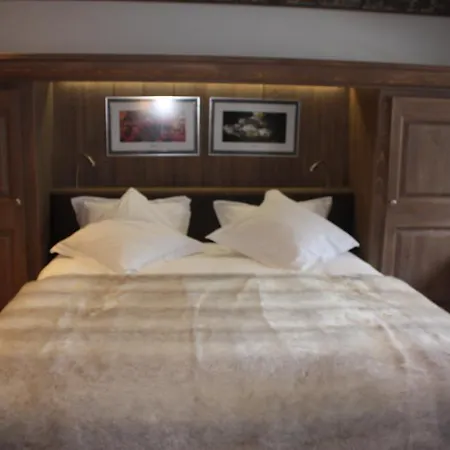 Le Petit Dru Hotel 4*