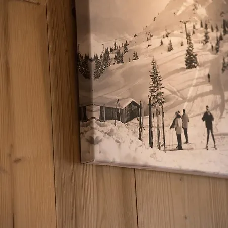 Hotel Le Petit Dru Morzine