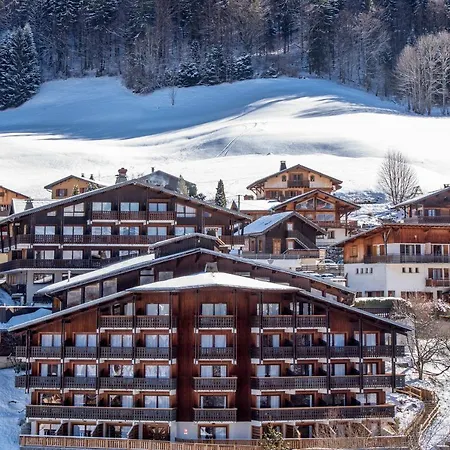 Hotel Le Petit Dru 4*