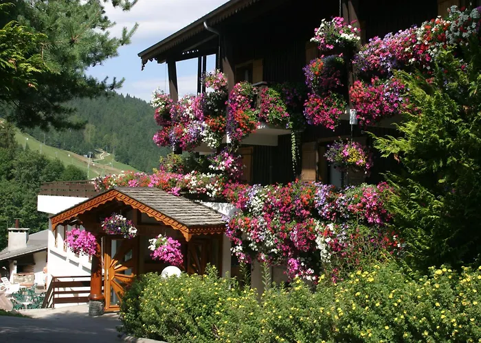 Le Petit Dru Morzine