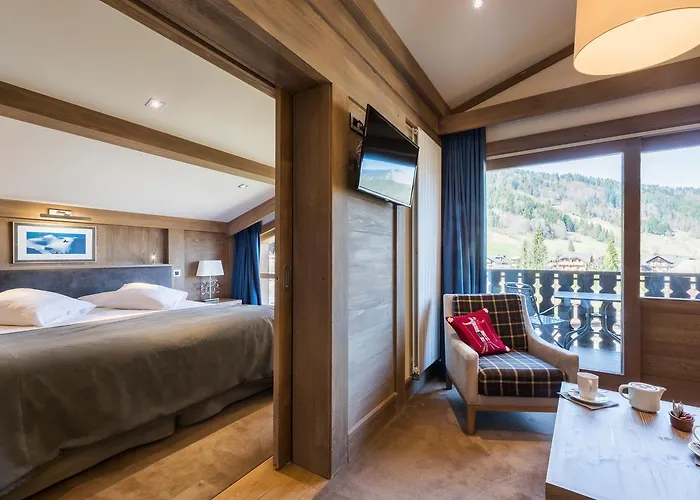 Le Petit Dru 4*