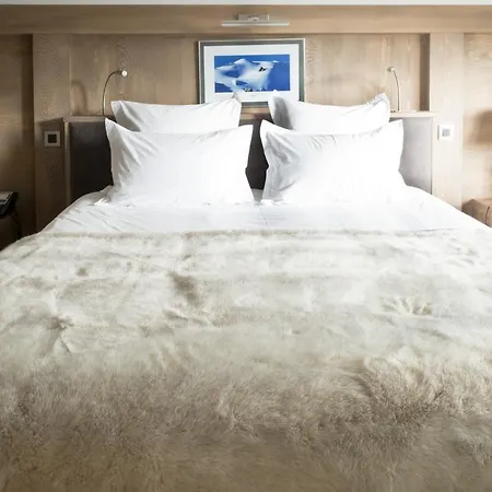 Le Petit Dru Hotel
