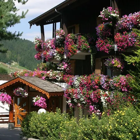 Le Petit Dru Morzine