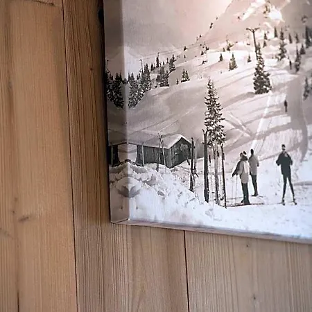 Le Petit Dru Ξενοδοχείο Morzine