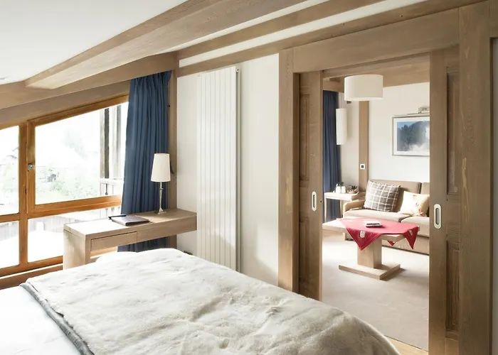 Le Petit Dru Hotel 4*