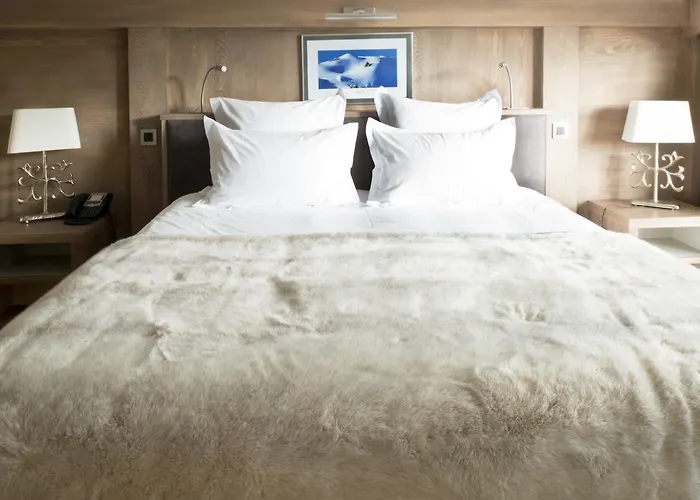 Le Petit Dru Hotel