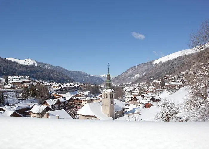 Le Petit Dru 4*