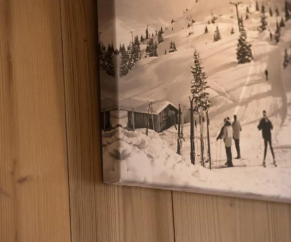 Hotel Le Petit Dru Morzine