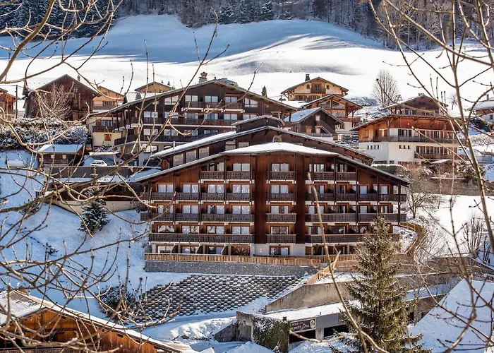 Le Petit Dru 4*