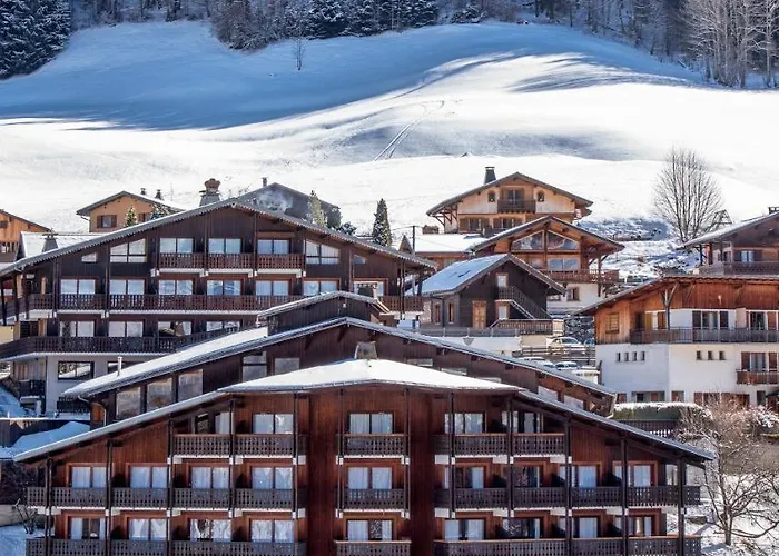 Hotel Le Petit Dru 4*